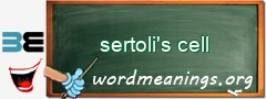 WordMeaning blackboard for sertoli's cell